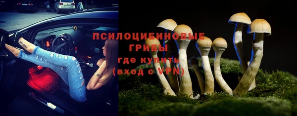 гидра Белоозёрский