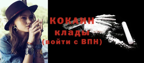 гидра Белоозёрский