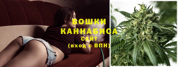ALPHA-PVP Белокуриха