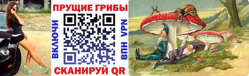 Галлюциногенные грибы Psilocybe kraken рабочий сайт Надым